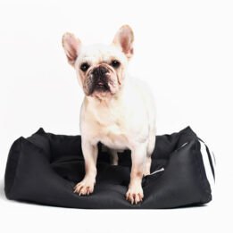Factory Supply Wholesale Luxury Pet Bed Soft Square Elegant Noble Series Dog Bed www.gmtpet.net