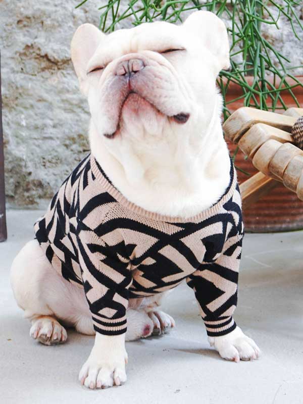 Оптовый поставщик одежды для домашних животных Роскошный вязаный свитер для собак Теплая зимняя одежда для собак 06-1392 www.gmtpet.net