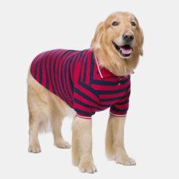 Pet Clothes Thin Striped POLO Shirt Two-legged Summer Clothes 06-1011-1 www.gmtpet.net