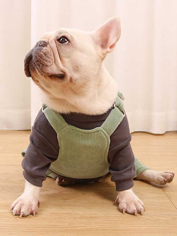 GMTPET French fighting clothes high elastic comfortable solid color plus velvet thick bottoming shirt T-shirt bulldog dog clothes 107-222016 www.gmtpet.net