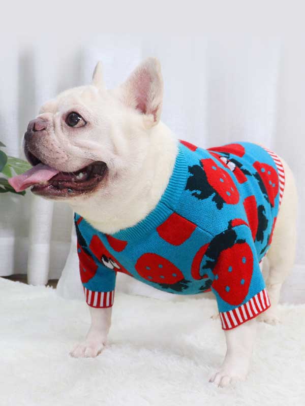 New autumn and winter dog clothes bulldog sweater strawberry cartoon short body fat dog method fighting autumn sweater 107-222041 www.gmtpet.net